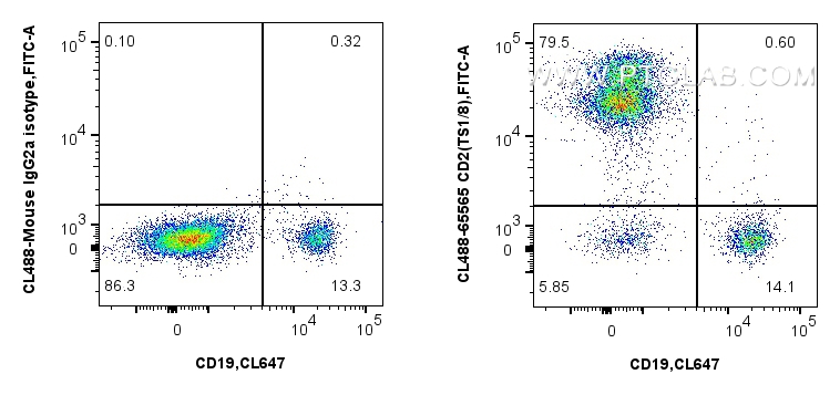 FC experiment of human PBMCs using CL488-65565