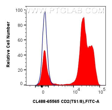  CD2