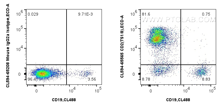 1x10^6 human PBMCs were surface stained with CoraLite® Plus 488 Anti-Human CD19, and 5 ul CoraLite®594 Anti-Human CD2 (TS1/8) Mouse IgG2a RecAb (CL594-65565, Clone: TS1/8) or CoraLite®594 Mouse IgG2a Isotype Control (C1.18.4) (<a class='green' href='/productredirect?CatalogNo=CL594-65208' target='_blank'>CL594-65208</a>, Clone: C1.18.4). Cells were not fixed. Lymphocytes were gated. FC experiment of human PBMCs using CL594-65565