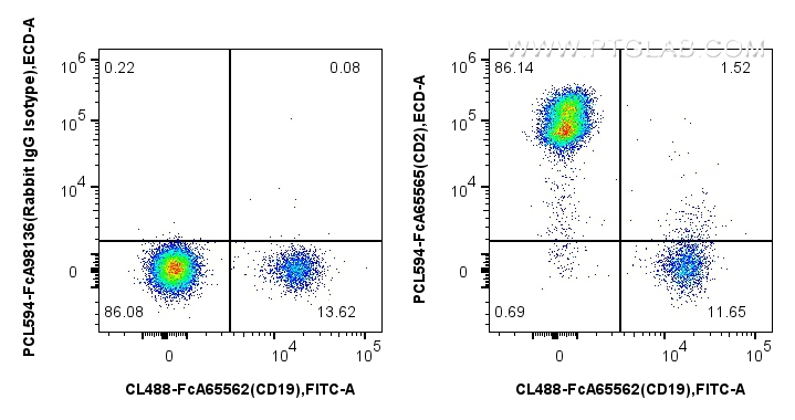 FC experiment of human PBMCs using PCL594-FcA65565