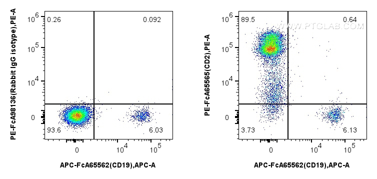FC experiment of human PBMCs using PE-FcA65565