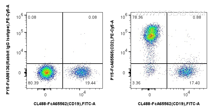 FC experiment of human PBMCs using PY5-FcA65565