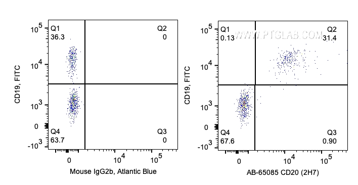 FC experiment of human PBMCs using AB-65085