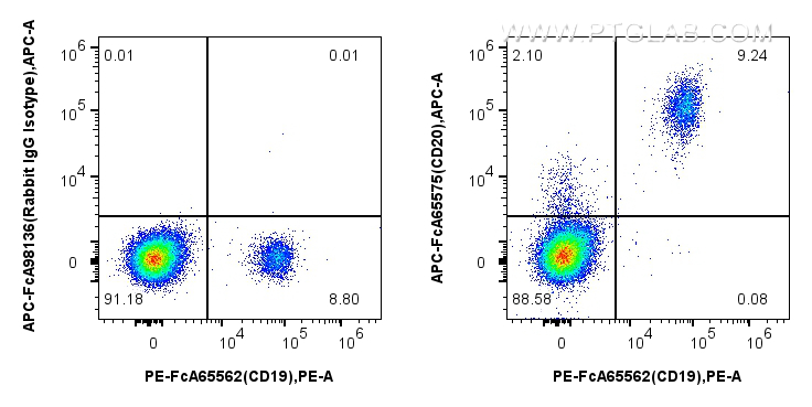 FC experiment of human PBMCs using APC-FcA65575
