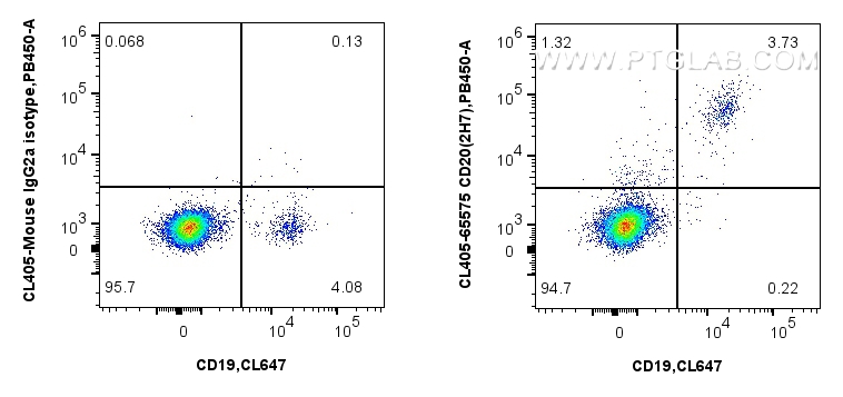 FC experiment of human PBMCs using CL405-65575