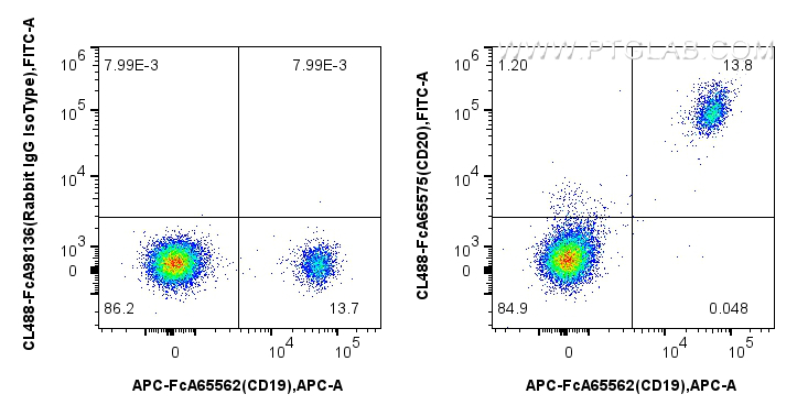 FC experiment of human PBMCs using CL488-FcA65575