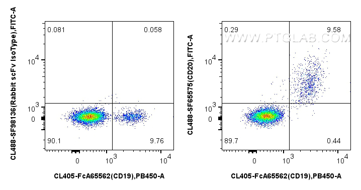 FC experiment of human PBMCs using CL488-SF65575