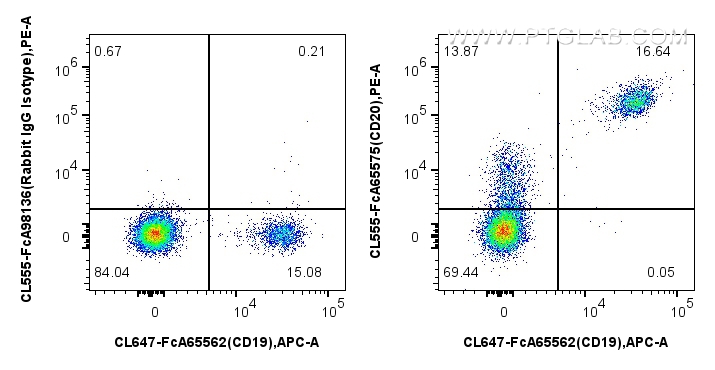 FC experiment of human PBMCs using CL555-FcA65575 FC experiment of human PBMCs using CL555-FcA65575