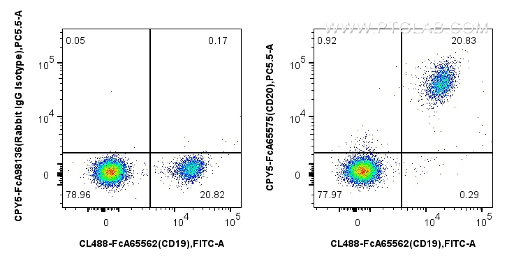 FC experiment of human PBMCs using CPY5-FcA65575 FC experiment of human PBMCs using CPY5-FcA65575
