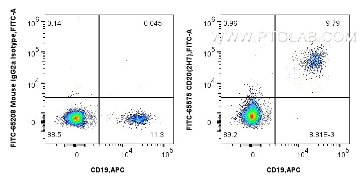 1x10^6 human PBMCs were surface stained with FcZero-rAb™ APC Anti-Human CD19, and 5 ul FITC Plus Anti-Human CD20 (2H7) Mouse IgG2a RecAb (FITC-65575, Clone: 2H7) or FITC Plus Mouse IgG2a Isotype Control (C1.18.4) (<a class='green' href='/productredirect?CatalogNo=FITC-65208' target='_blank'>FITC-65208</a>, Clone: C1.18.4). Cells were not fixed. FC experiment of human PBMCs using FITC-65575