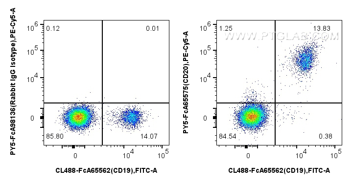 FC experiment of human PBMCs using PY5-FcA65575 FC experiment of human PBMCs using PY5-FcA65575