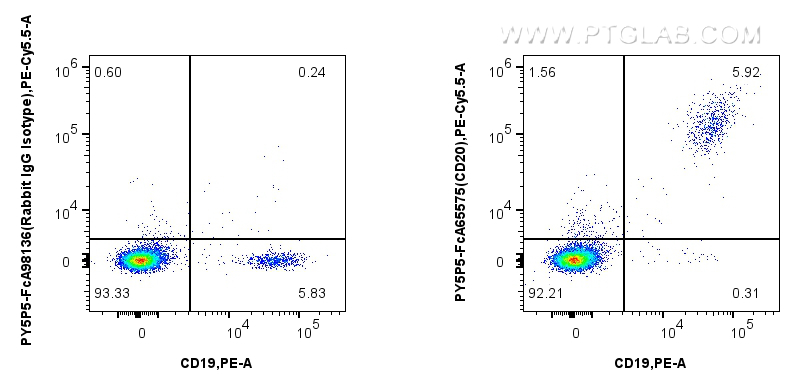 FC experiment of human PBMCs using PY5P5-FcA65575