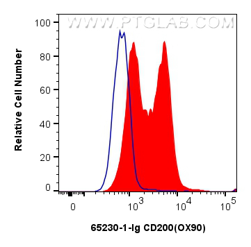 FC experiment of mouse splenocytes using 65230-1-Ig