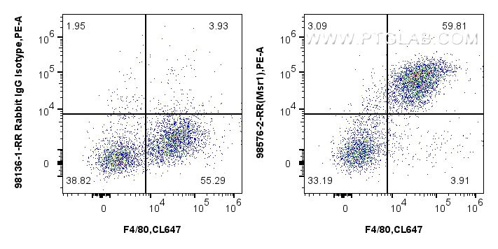 1x10^6 mouse peritoneal macrophages were surface stained with 0.25 ug Anti-Mouse CD204 Rabbit RecAb (98576-2-RR, Clone: 251367F5) or 0.25 ug Rabbit IgG Isotype Control RecAb (<a class='green' href='/productredirect?CatalogNo=98136-1-RR' target='_blank'>98136-1-RR</a>, Clone: 240953C9), and PE-Conjugated Goat Anti-Rabbit IgG(H+L). Cells were then stained with CoraLite® Plus 647 Anti-Mouse F4/80. Cells were not fixed. FC experiment of mouse peritoneal macrophages using 98576-2-RR