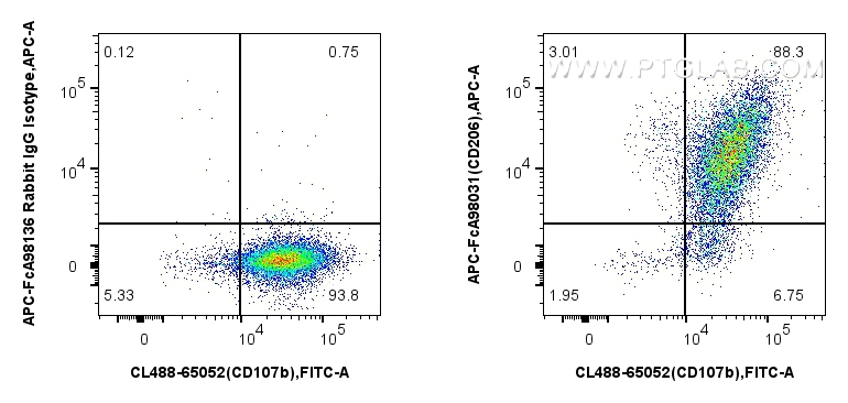 FC experiment of mouse peritoneal macrophages using APC-FcA98031 FC experiment of mouse peritoneal macrophages using APC-FcA98031