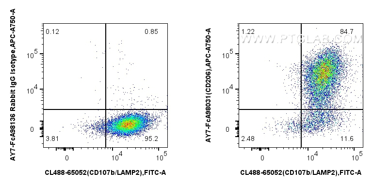 FC experiment of mouse peritoneal macrophages using AY7-FcA98031