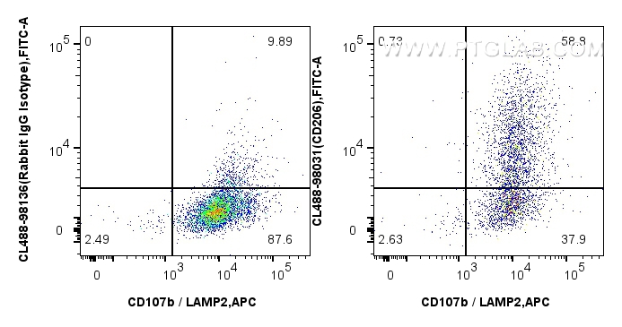 FC experiment of mouse peritoneal macrophages using CL488-98031