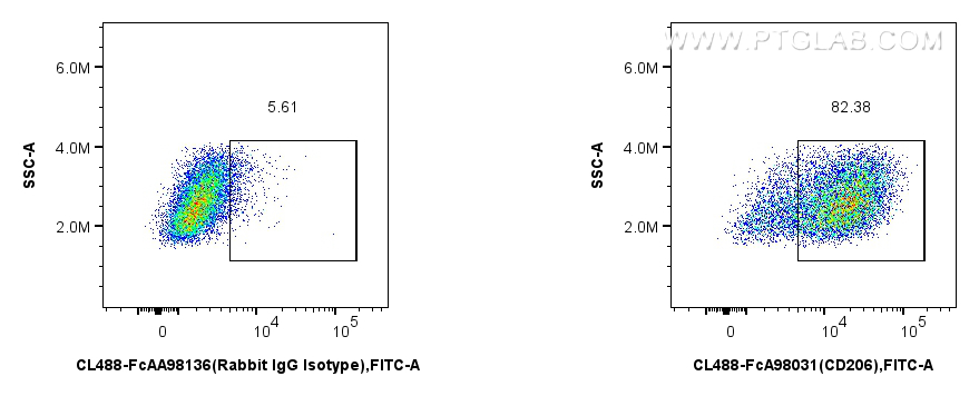 FC experiment of mouse peritoneal macrophages using CL488-FcA98031