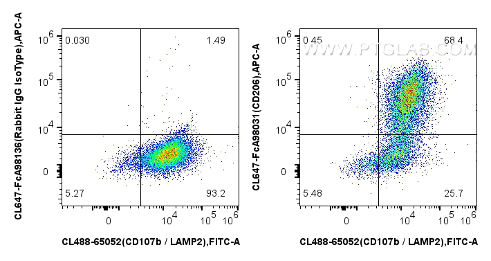 FC experiment of mouse peritoneal macrophages using CL647-FcA98031