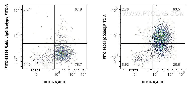 1x10^6 mouse peritoneal macrophages were surface stained with APC Anti-Mouse CD107b / LAMP2, and 0.25 ug FITC Plus Anti-Mouse CD206 Rabbit RecAb (FITC-98031, Clone: 240344D12) or FITC Plus Rabbit IgG Isotype Control RecAb (<a class='green' href='/productredirect?CatalogNo=FITC-98136' target='_blank'>FITC-98136</a>, Clone: 240953C9). Cells were incubated with FC Receptor Block prior to staining and fixing. Cells were not fixed. FC experiment of mouse peritoneal macrophages using FITC-98031