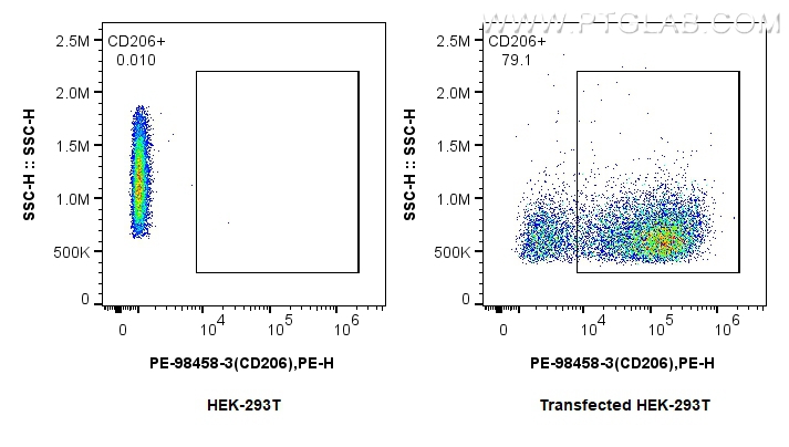 FC experiment of Transfected HEK-293T using PE-98458-3 FC experiment of Transfected HEK-293T using PE-98458-3