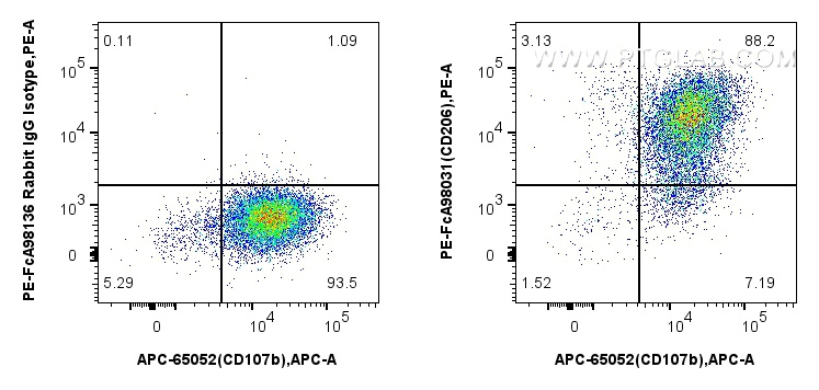 FC experiment of mouse peritoneal macrophages using PE-FcA98031 FC experiment of mouse peritoneal macrophages using PE-FcA98031