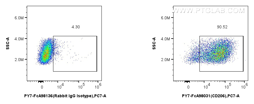 FC experiment of mouse peritoneal macrophages using PY7-FcA98031
