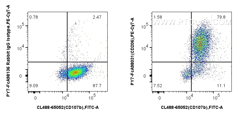 FC experiment of mouse peritoneal macrophages using PY7-FcA98031 FC experiment of mouse peritoneal macrophages using PY7-FcA98031