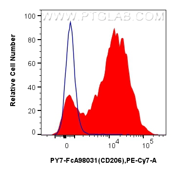 FC experiment of mouse peritoneal macrophages using PY7-FcA98031 FC experiment of mouse peritoneal macrophages using PY7-FcA98031