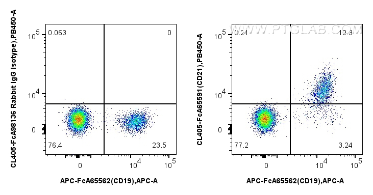 FC experiment of human PBMCs using CL405-FcA65591 FC experiment of human PBMCs using CL405-FcA65591