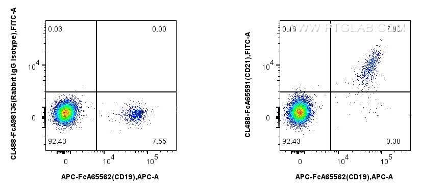 FC experiment of human PBMCs using CL488-FcA65591