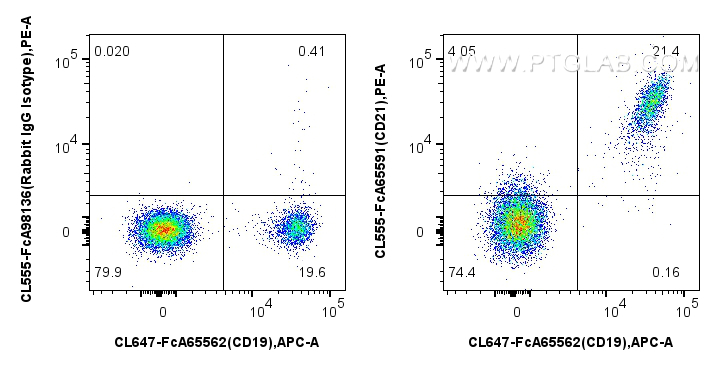 FC experiment of human PBMCs using CL555-FcA65591 FC experiment of human PBMCs using CL555-FcA65591