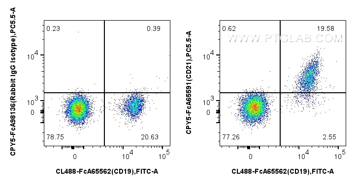 FC experiment of human PBMCs using CPY5-FcA65591