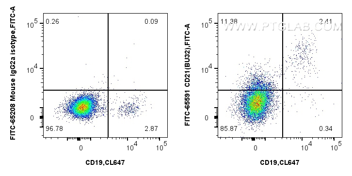FC experiment of human PBMCs using FITC-65591