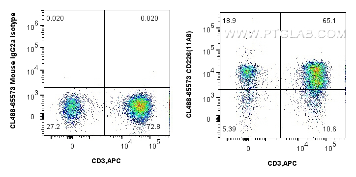FC experiment of human PBMCs using CL488-65573