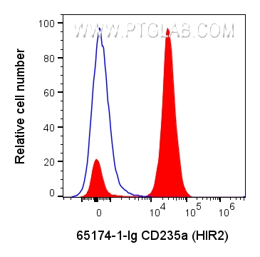 FC experiment of human peripheral blood using 65174-1-Ig