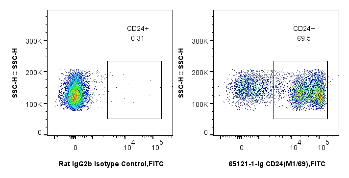 FC experiment of mouse splenocytes using 65121-1-Ig