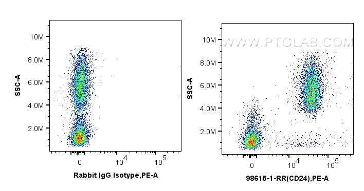 FC experiment of human peripheral blood lymphocytes using 98615-1-RR (same clone as 98615-1-PBS) FC experiment of human peripheral blood lymphocytes using 98615-1-RR (same clone as 98615-1-PBS)