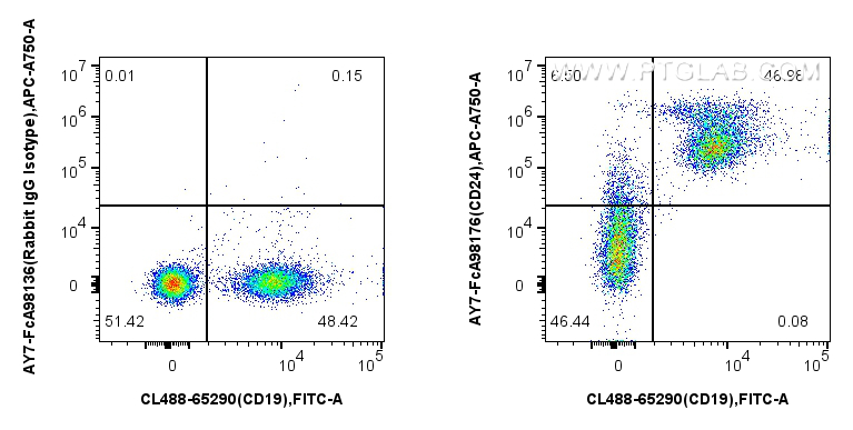 FC experiment of mouse splenocytes using AY7-FcA98176