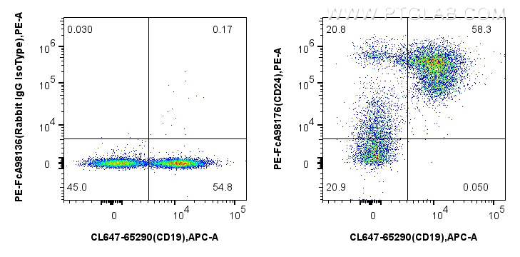 FC experiment of mouse splenocytes using PE-FcA98176