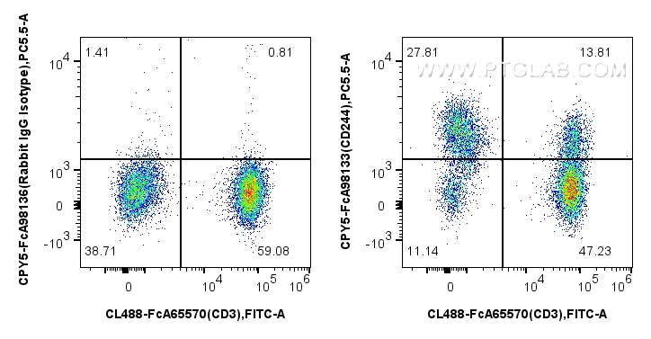 1x10^6 human PBMCs were surface stained with FcZero-rAb™ CoraLite® Plus 488 Anti-Human CD3 (UCHT1), and 5 ul PerCP-Cyanine5.5 Anti-Human CD244 Rabbit RecAb (CPY5-FcA98133, Clone: 241260G10) or FcZero-rAb™ PerCP-Cyanine5.5 Rabbit IgG Isotype Control Recombinant Antibody (CPY5-FcA98136, Clone: 240953C9). Cells were incubated with MonoZero™ Monocytes blocking Reagent (<a class='green' href='/productredirect?CatalogNo=PF00020' target='_blank'>PF00020</a>) prior to staining. Cells were not fixed. FC experiment of human PBMCs using CPY5-FcA98133