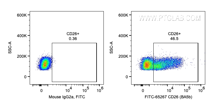 DPP4/CD26
