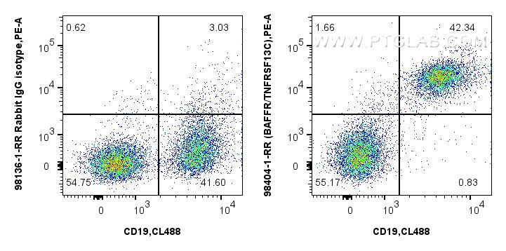 FC experiment of mouse splenocytes using 98404-1-RR FC experiment of mouse splenocytes using 98404-1-RR