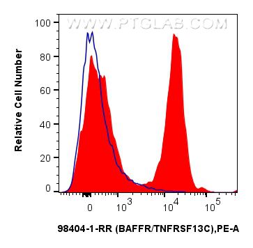 FC experiment of mouse splenocytes using 98404-1-RR FC experiment of mouse splenocytes using 98404-1-RR