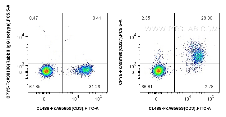 1x10^6 mouse splenocytes were surface stained with FcZero-rAb™ CoraLite® Plus 488 Anti-Mouse CD3 (17A2), and 0.25 ug PerCP-Cyanine5.5 Anti-Mouse CD27 Rabbit RecAb (CPY5-FcA98160, Clone: 241378E11) or FcZero-rAb™ PerCP-Cyanine5.5 Rabbit IgG Isotype Control Recombinant Antibody (CPY5-FcA98136, Clone: 240953C9). Cells were incubated with MonoZero™ Monocytes blocking Reagent (<a class='green' href='/productredirect?CatalogNo=PF00020' target='_blank'>PF00020</a>) prior to staining. Cells were not fixed. FC experiment of mouse splenocytes using CPY5-FcA98160
