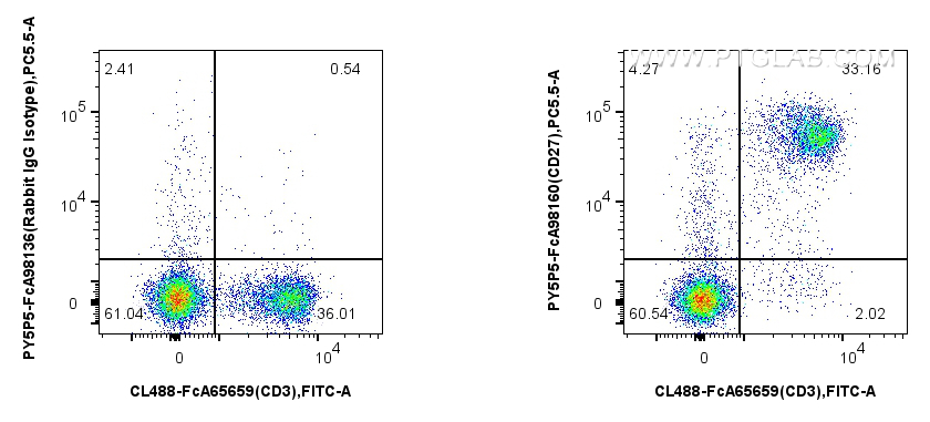 FC experiment of mouse splenocytes using PY5P5-FcA98160 FC experiment of mouse splenocytes using PY5P5-FcA98160