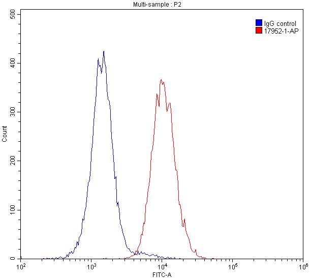 FC experiment of Raji using 17952-1-AP