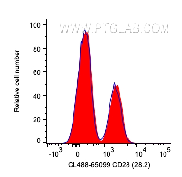 CD28