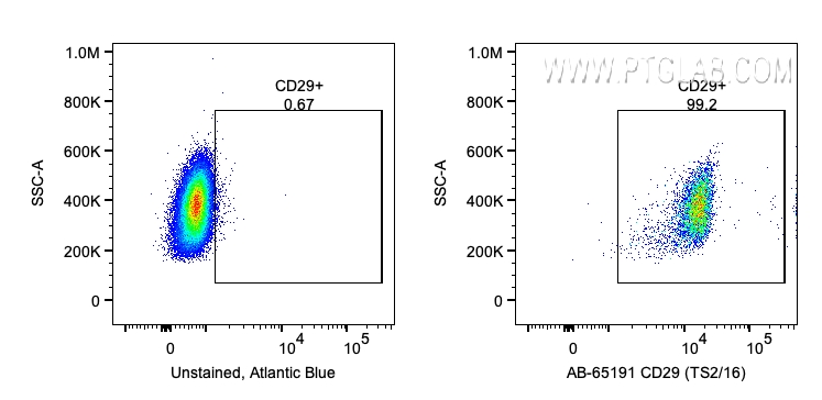 FC experiment of human PBMCs using AB-65191