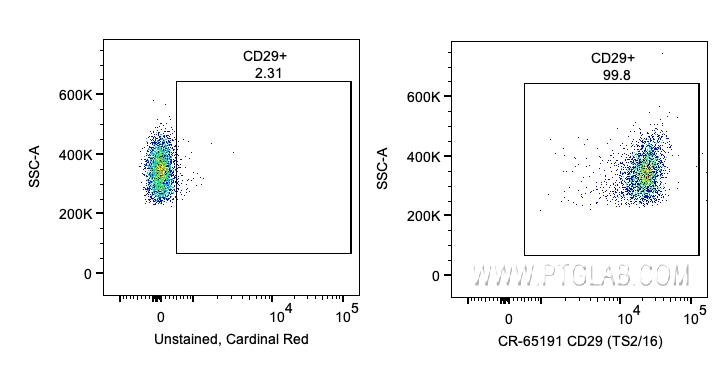 FC experiment of human PBMCs using CR-65191